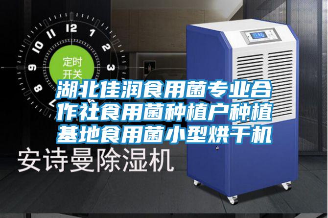 湖北佳潤食用菌專業(yè)合作社食用菌種植戶種植基地食用菌小型烘干機(jī)