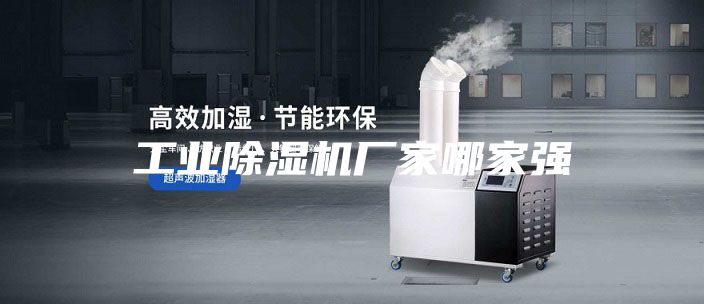 工業(yè)除濕機(jī)廠(chǎng)家哪家強(qiáng)