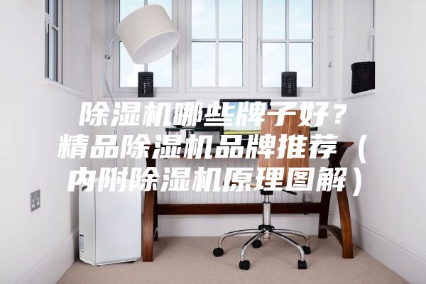除濕機哪些牌子好？精品除濕機品牌推薦（內附除濕機原理圖解）