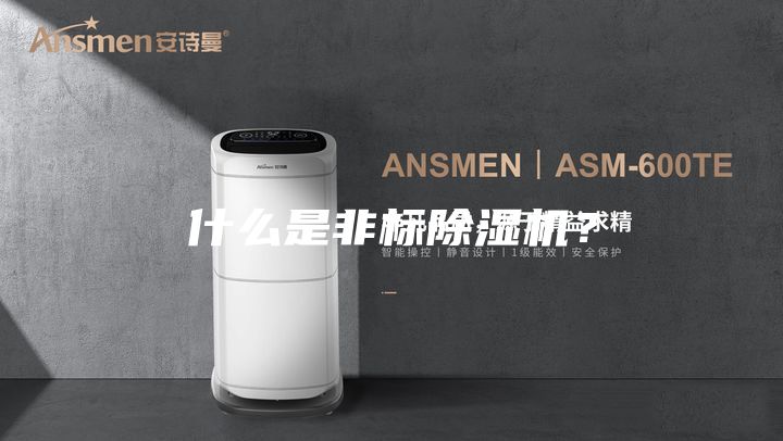 什么是非標(biāo)除濕機(jī)？