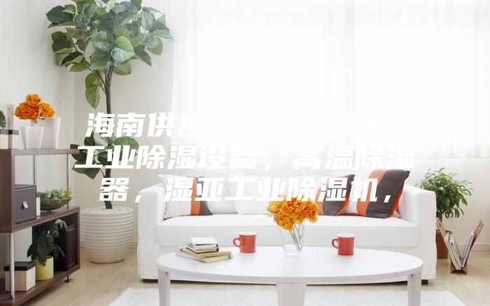 海南供應耐高溫除濕機，工業(yè)除濕設備，高溫除濕器，濕亞工業(yè)除濕機，