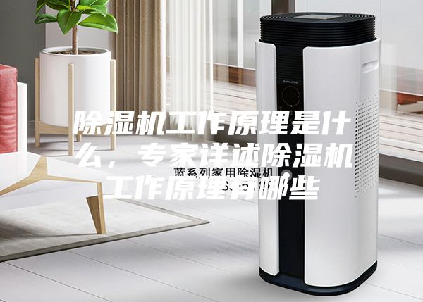 除濕機(jī)工作原理是什么，專家詳述除濕機(jī)工作原理有哪些