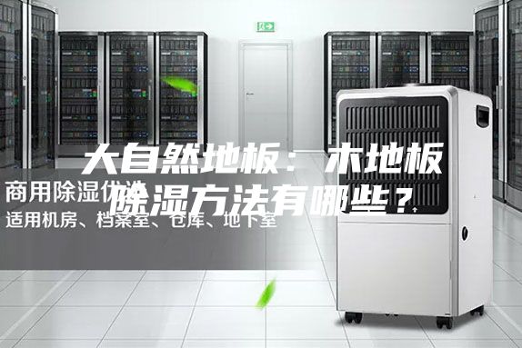 大自然地板：木地板除濕方法有哪些？