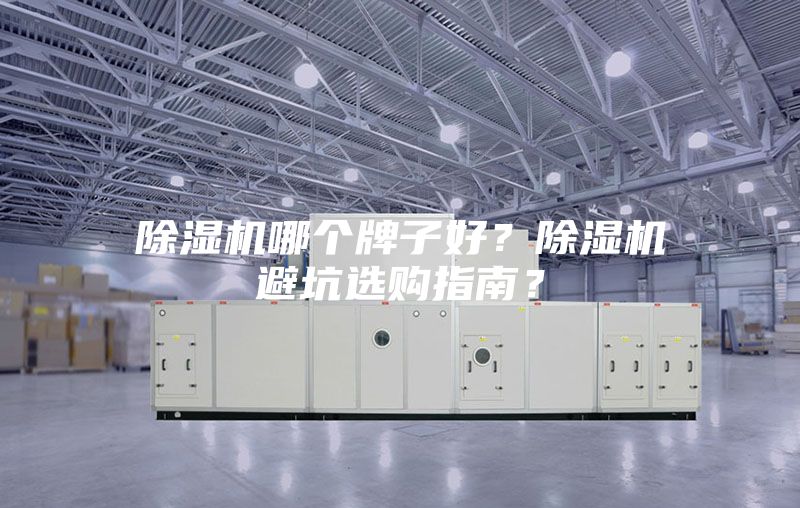除濕機(jī)哪個(gè)牌子好？除濕機(jī)避坑選購(gòu)指南？