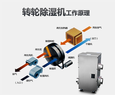潮湿危害真不小，用除湿机真见效