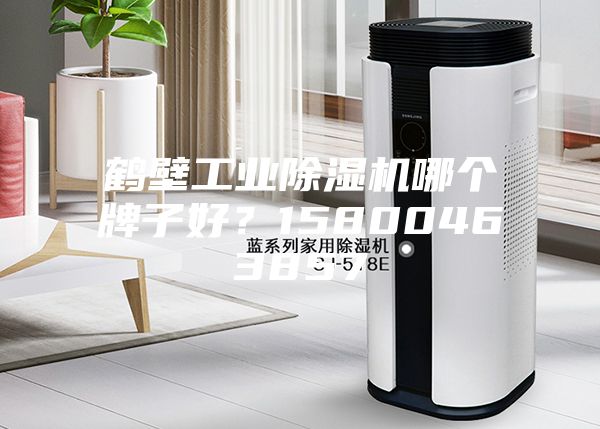 鶴壁工業(yè)除濕機(jī)哪個牌子好？15800463857