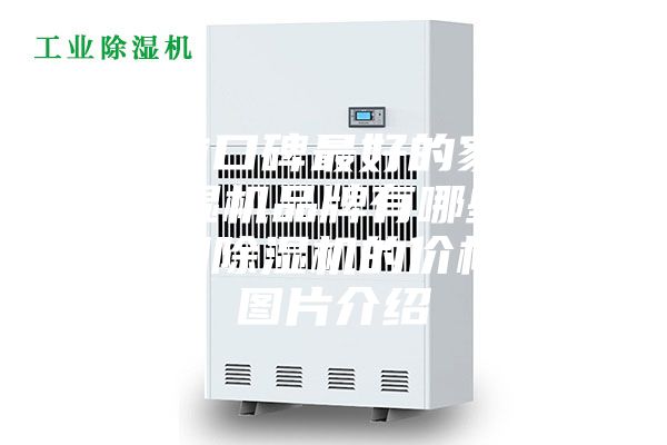 目前口碑最好的家用除湿机品牌有哪些？家用除湿机的价格和图片介绍