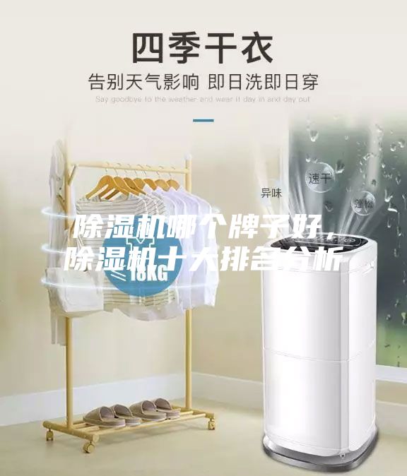 除濕機哪個牌子好，除濕機十大排名分析