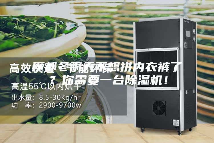 魔都冬雨天不想拼內(nèi)衣褲了？你需要一臺除濕機(jī)！