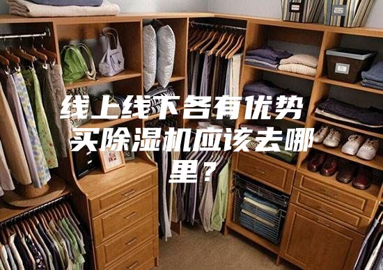 线上线下各有优势 买除湿机应该去哪里？