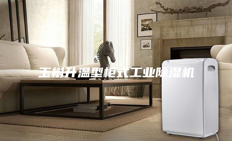 玉樹(shù)升溫型柜式工業(yè)除濕機(jī)