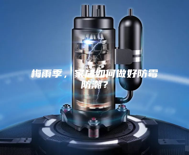 梅雨季，家居如何做好防霉防潮？