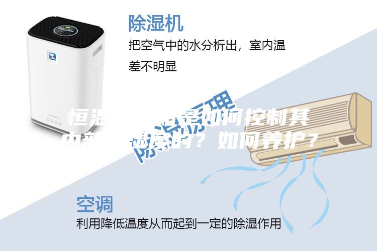 恒溫恒濕箱是如何控制其內部溫濕度的？如何養(yǎng)護？