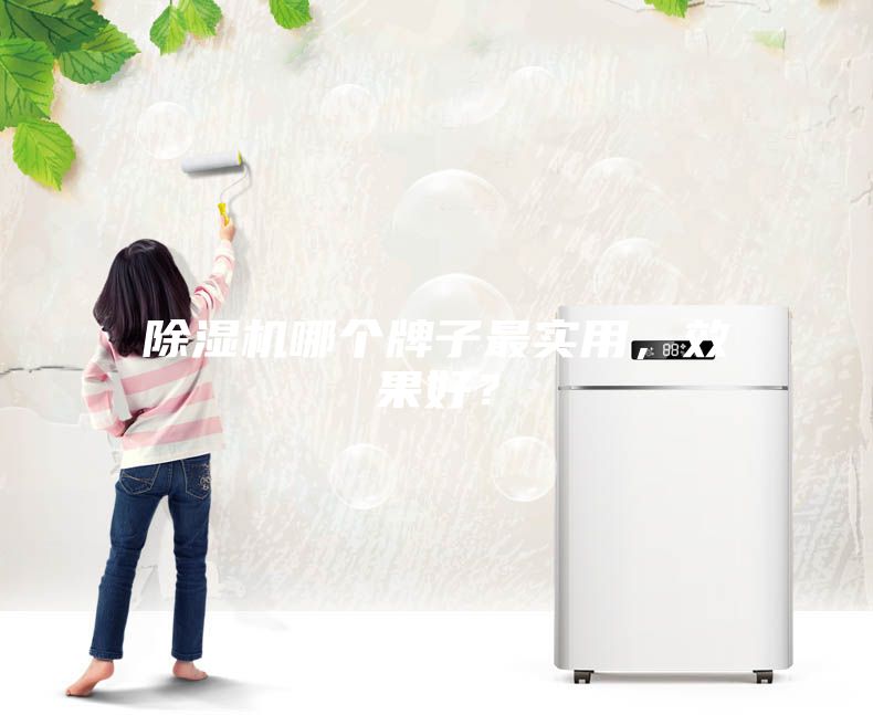 除濕機哪個牌子最實用，效果好？