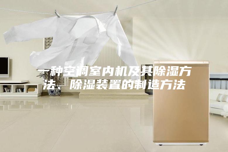 一種空調(diào)室內(nèi)機(jī)及其除濕方法、除濕裝置的制造方法