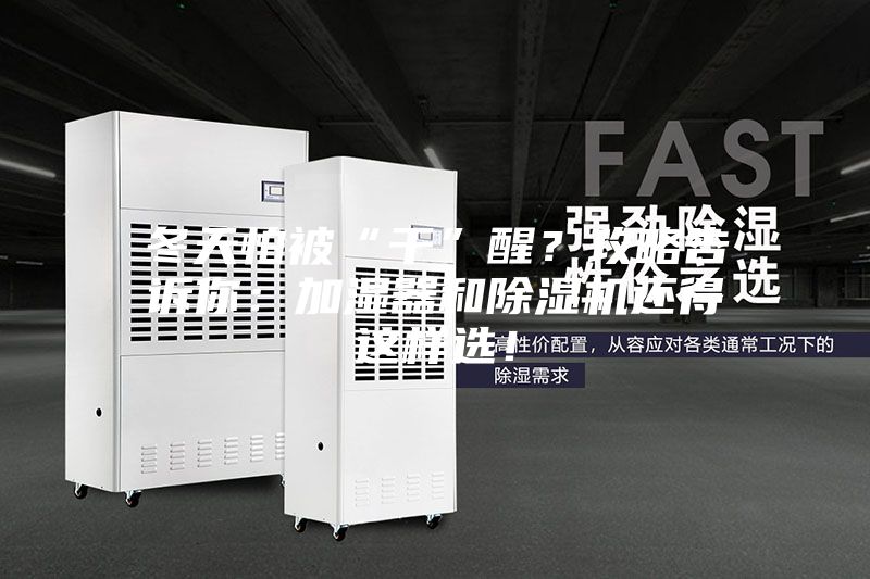 冬天怕被“干”醒？攻略告訴你：加濕器和除濕機還得這樣選！