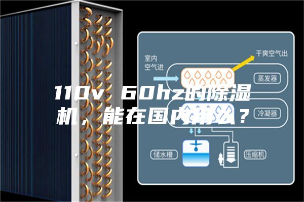 110v 60hz的除濕機(jī)，能在國內(nèi)用么？