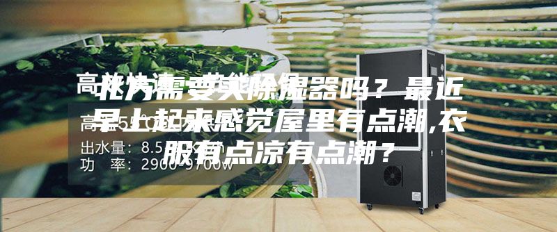 北方需要買除濕器嗎？最近早上起來感覺屋里有點(diǎn)潮,衣服有點(diǎn)涼有點(diǎn)潮？