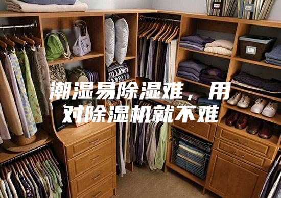 潮湿易除湿难，用对除湿机就不难