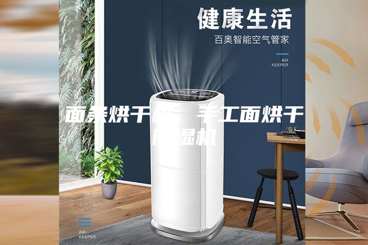 面條烘干機，手工面烘干除濕機