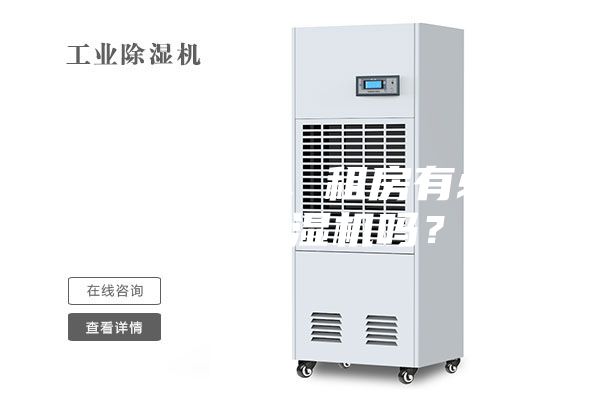 初到南方，租房有必要買除濕機嗎？