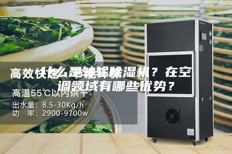 什么是轉(zhuǎn)輪除濕機(jī)？在空調(diào)領(lǐng)域有哪些優(yōu)勢？