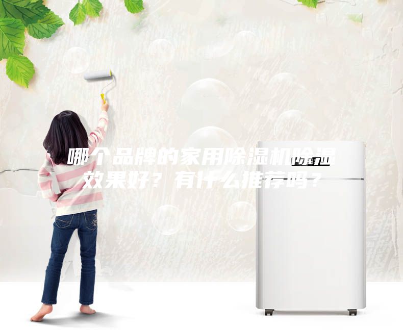 哪个品牌的家用除湿机除湿效果好？有什么推荐吗？