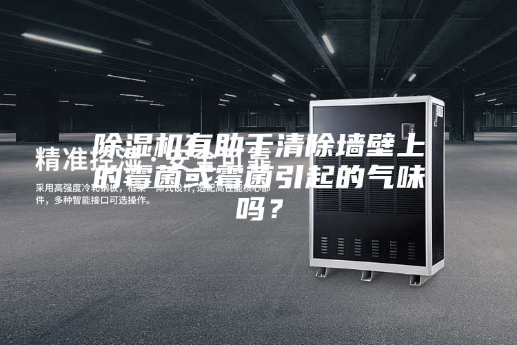 除濕機(jī)有助于清除墻壁上的霉菌或霉菌引起的氣味嗎？