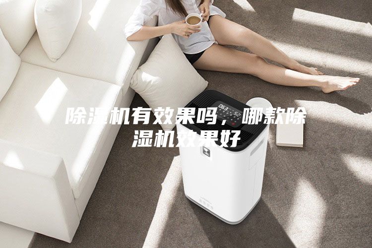 除濕機有效果嗎，哪款除濕機效果好