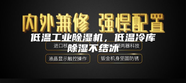 低溫工業(yè)除濕機(jī)，低溫冷庫除濕不結(jié)冰