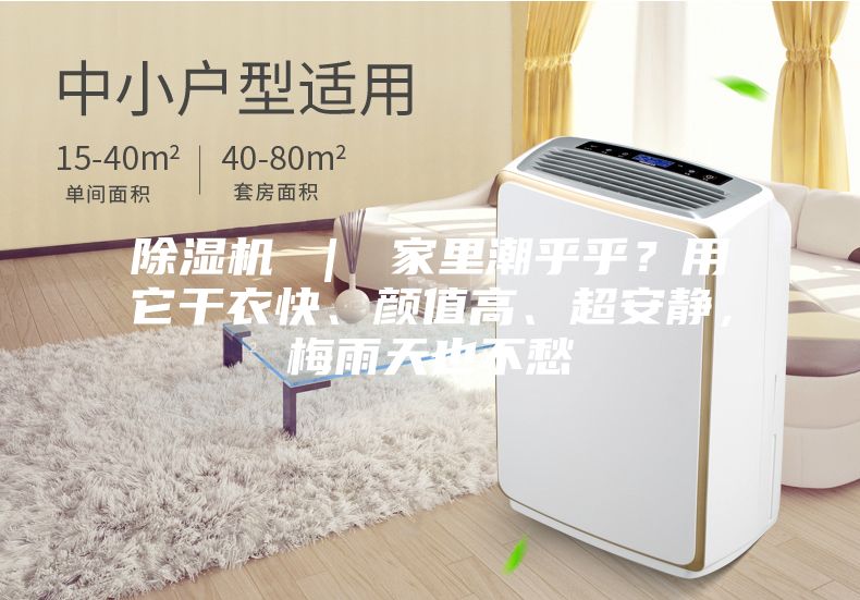 除濕機 ｜ 家里潮乎乎？用它干衣快、顏值高、超安靜，梅雨天也不愁