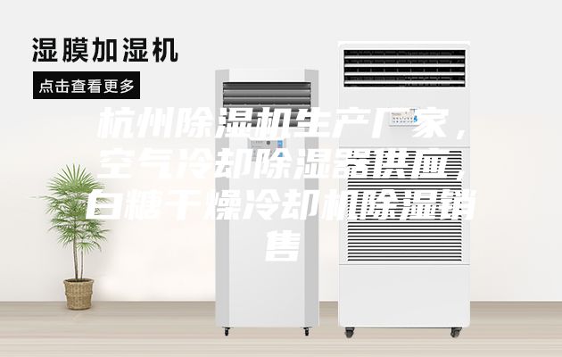 杭州除湿机生产厂家，空气冷却除湿器供应，白糖干燥冷却机除湿销售