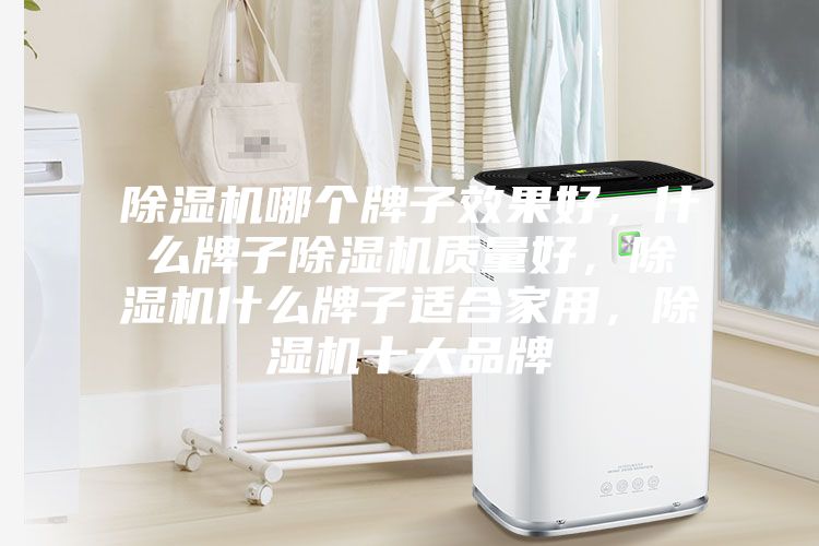 除濕機(jī)哪個(gè)牌子效果好，什么牌子除濕機(jī)質(zhì)量好，除濕機(jī)什么牌子適合家用，除濕機(jī)十大品牌