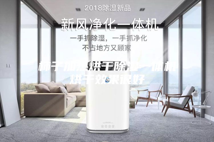 柿子加热烘干除湿一体机烘干效果很好