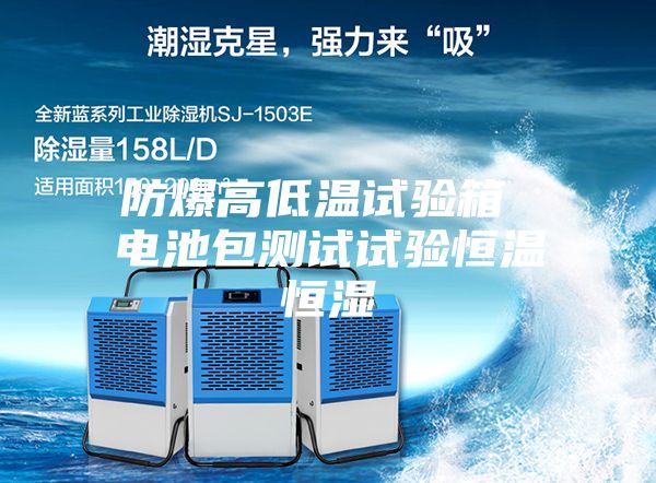 防爆高低溫試驗(yàn)箱 電池包測(cè)試試驗(yàn)恒溫恒濕