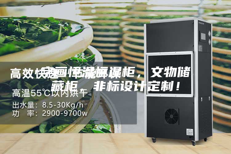 字畫恒溫恒濕柜，文物儲藏柜，非標設(shè)計定制！