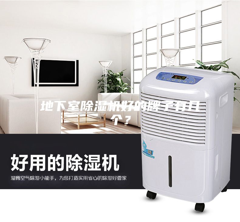 地下室除湿机好的牌子有几个？