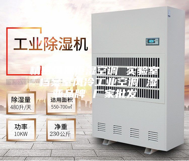 精密恒溫恒濕空調(diào) 實(shí)驗(yàn)室 檔案室風(fēng)冷工業(yè)空調(diào) 濕亞品牌 廠家批發(fā)