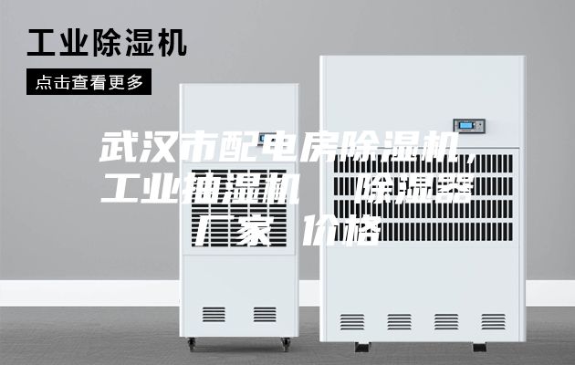 武漢市配電房除濕機(jī)，工業(yè)抽濕機(jī)  除濕器廠家 價(jià)格