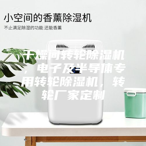 干燥间转轮除湿机，电子及半导体专用转轮除湿机，转轮厂家定制