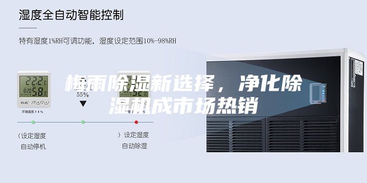 梅雨除湿新选择，净化除湿机成市场热销