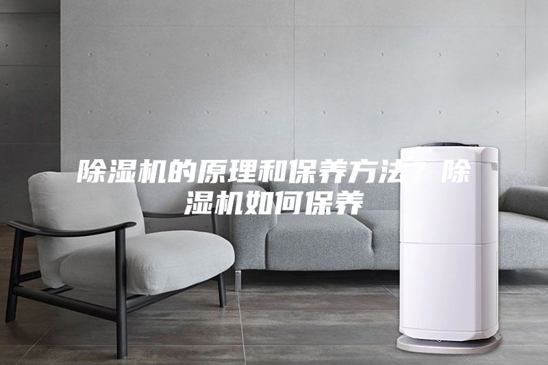 除濕機(jī)的原理和保養(yǎng)方法？除濕機(jī)如何保養(yǎng)