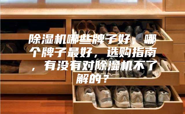 除濕機(jī)哪些牌子好，哪個(gè)牌子最好，選購(gòu)指南，有沒(méi)有對(duì)除濕機(jī)不了解的？