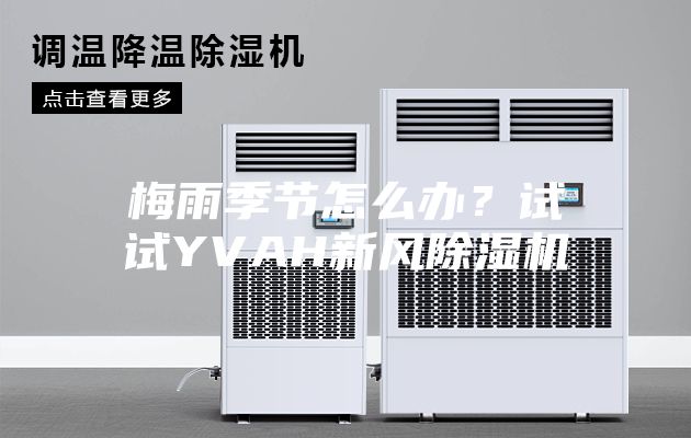 梅雨季节怎么办？试试YVAH新风除湿机