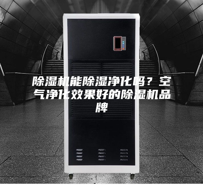 除濕機(jī)能除濕凈化嗎？空氣凈化效果好的除濕機(jī)品牌