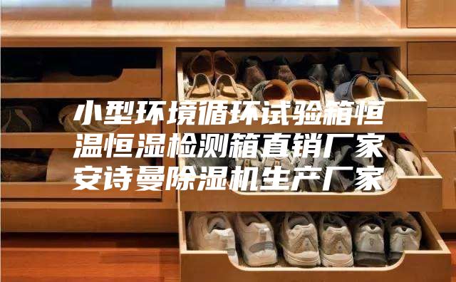 小型環(huán)境循環(huán)試驗箱恒溫恒濕檢測箱直銷廠家安詩曼除濕機生產廠家