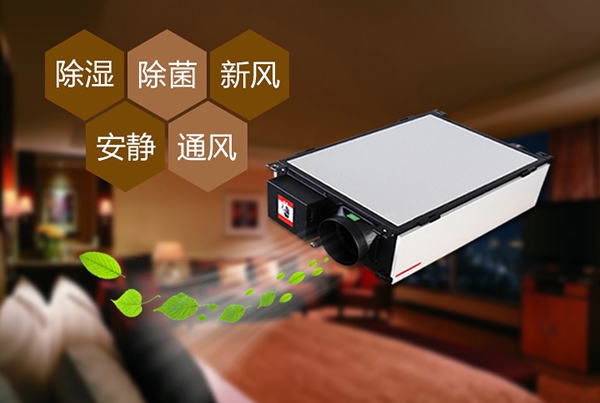 出梅？再等等，在家該如何防潮除濕？