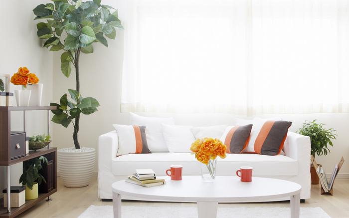 梅雨季節(jié)，豬場需要這樣預(yù)防霉