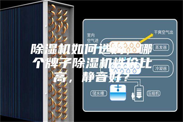 除濕機如何選購，哪個牌子除濕機性價比高，靜音好？