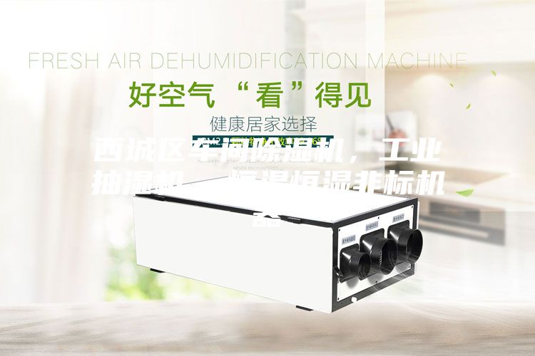 西城區(qū)車間除濕機，工業(yè)抽濕機  恒溫恒濕非標機器